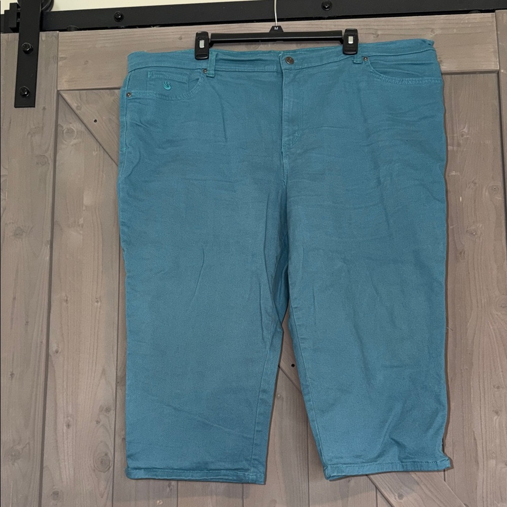 Gloria Vanderbilt Teal Capris
